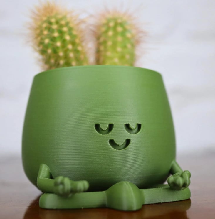 BloomBuddy – Lächelnde Pflanzen, glückliches Zuhause!