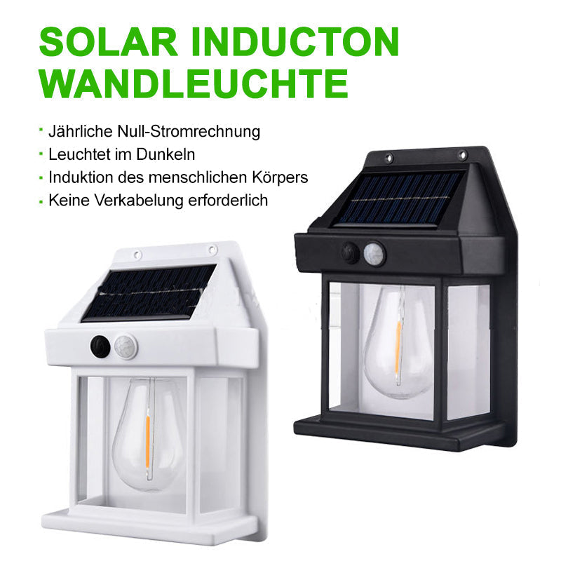1+1 GRATIS | SolarNova™ - Solar Wandleuchte für den Außenbereich [Letzter Tag Rabatt]