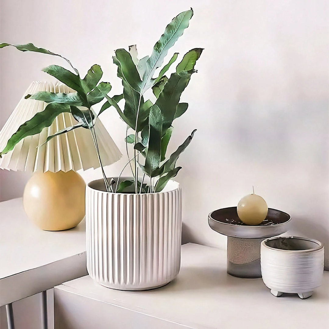 Floravio Pflanztopf | Modern & Witterungsfest | Für Innen & Außen | UV-beständiger Kunststoff