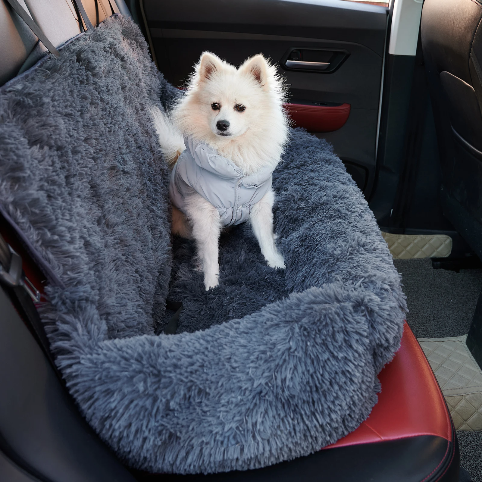 CarPaw – Sicher & entspannt reisen mit deinem Hund!