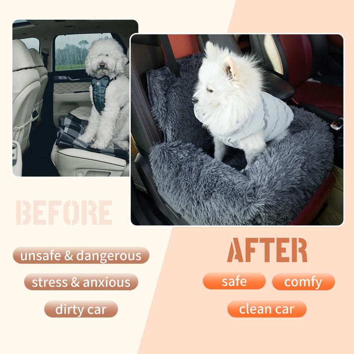 CarPaw – Sicher & entspannt reisen mit deinem Hund!