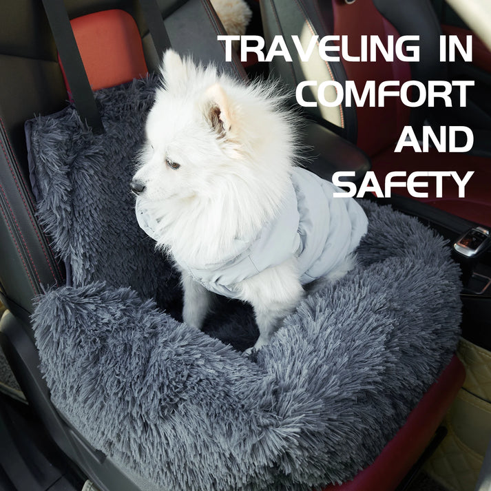 CarPaw – Sicher & entspannt reisen mit deinem Hund!
