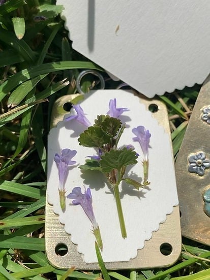 FloraKeep – Ihre Lieblingsblüten für immer bewahren!