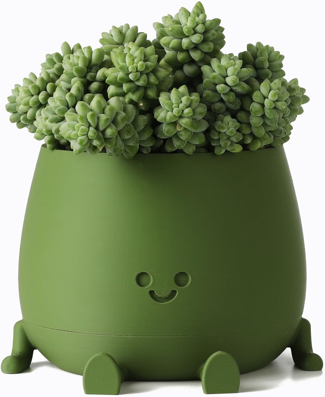 BloomBuddy – Lächelnde Pflanzen, glückliches Zuhause!