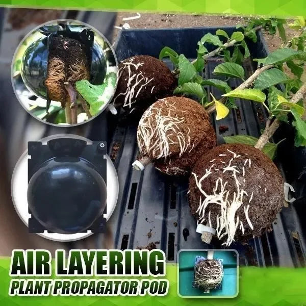 3+2 GRATIS | GrowBox - Pflanzenwurzel-Anzuchtbox [Letzter Tag Rabatt]