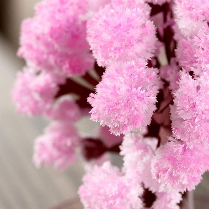 MagicXTree – Beobachte, wie dein magischer Feiertagsbaum in 24 Stunden wächst