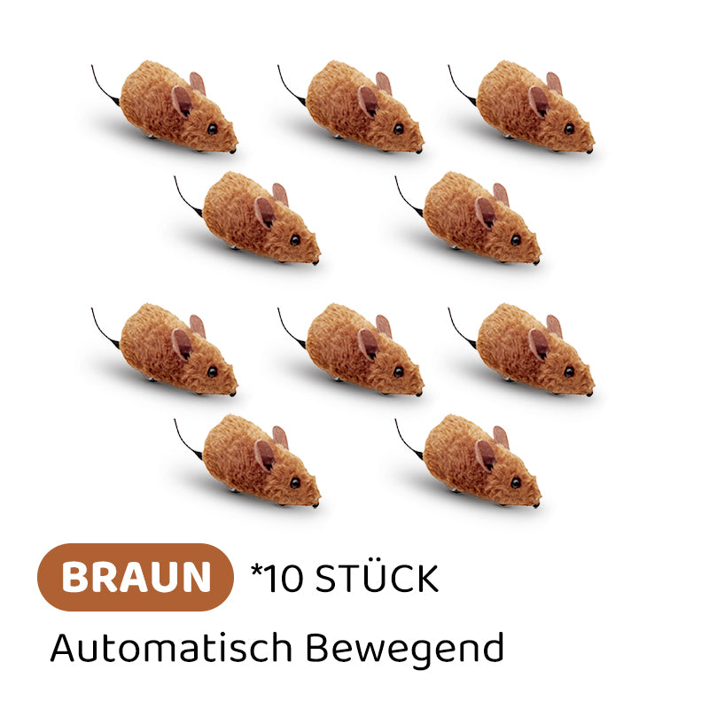 2+1 GRATIS | PawChase – Jagen, spielen, juchzen – der Spaß für deine Katze!