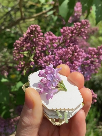 FloraKeep – Ihre Lieblingsblüten für immer bewahren!