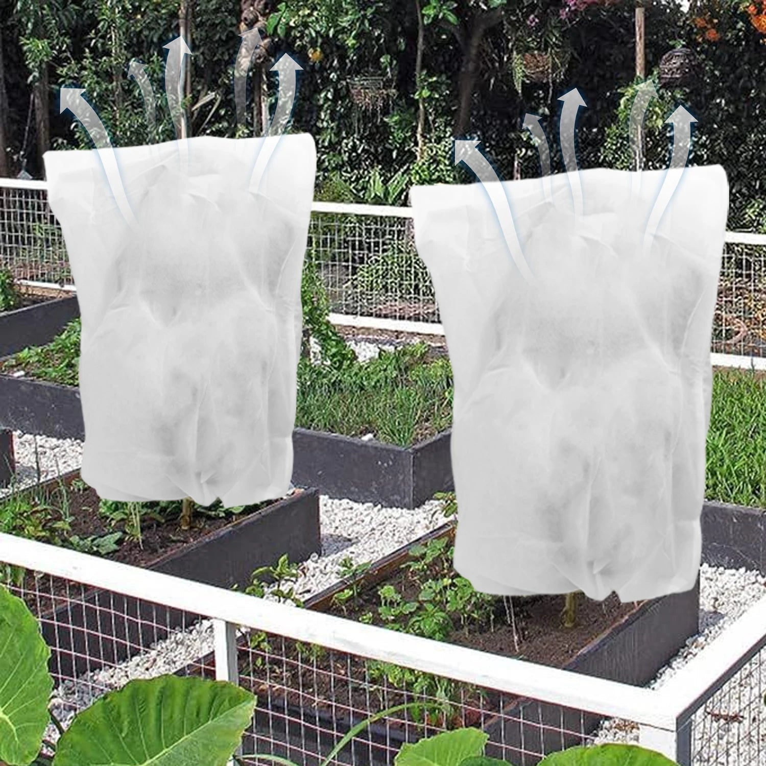 FrostGuard Garten | Winterpflanzenschutz-Abdeckung mit Reißverschluss | Frost-, Vogel- und Insektenschutz | Wiederverwendbar und Atmungsaktiv