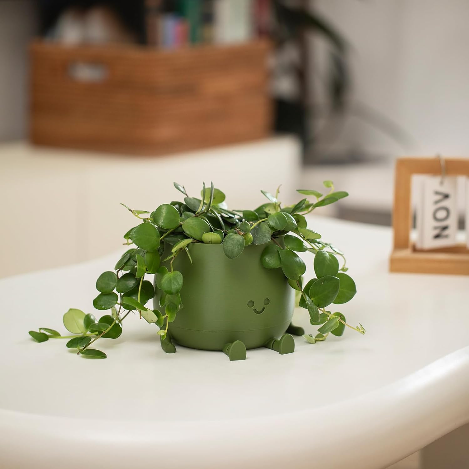 BloomBuddy – Lächelnde Pflanzen, glückliches Zuhause!