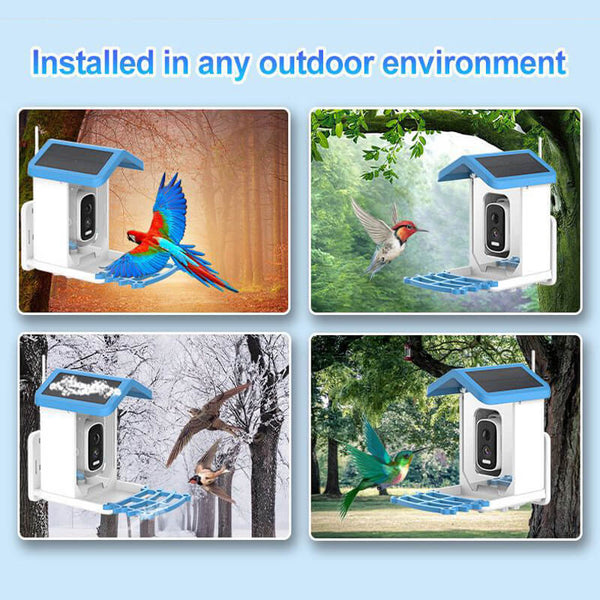 FeatherWatch Pro Bird Feeder Cam | KI-Vogelerkennung & 2.5K HD | Solarbetrieben & Wetterfest