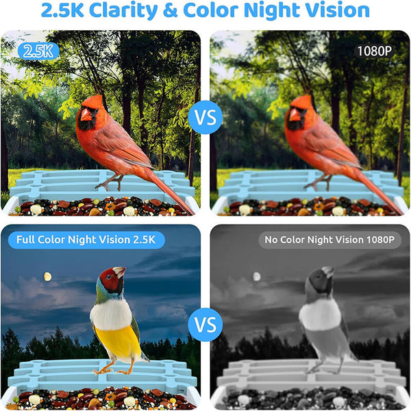 FeatherWatch Pro Bird Feeder Cam | KI-Vogelerkennung & 2.5K HD | Solarbetrieben & Wetterfest
