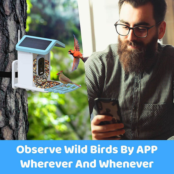 FeatherWatch Pro Bird Feeder Cam | KI-Vogelerkennung & 2.5K HD | Solarbetrieben & Wetterfest