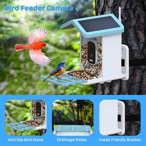 FeatherWatch Pro Bird Feeder Cam | KI-Vogelerkennung & 2.5K HD | Solarbetrieben & Wetterfest