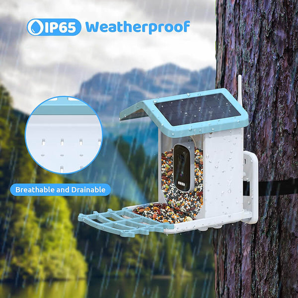 FeatherWatch Pro Bird Feeder Cam | KI-Vogelerkennung & 2.5K HD | Solarbetrieben & Wetterfest