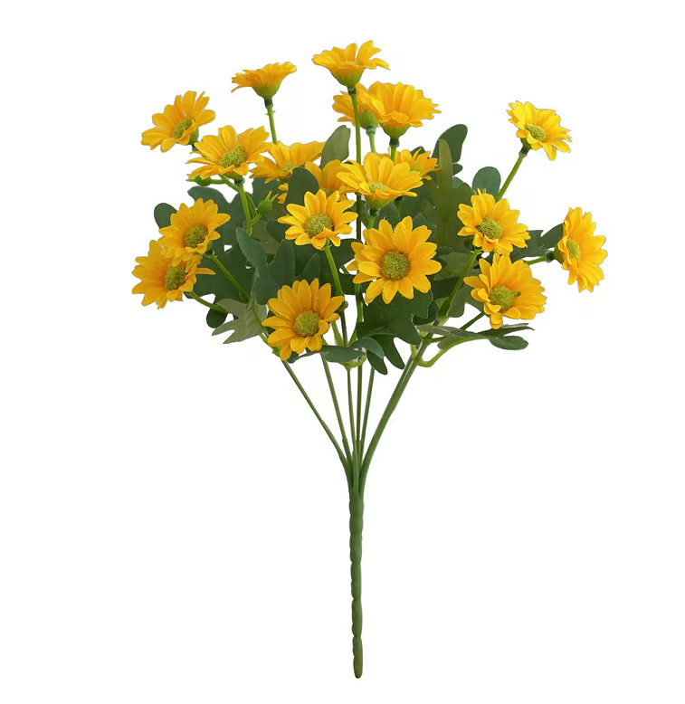 AutumnBloom – Dauerhafte Herbstpracht ohne Pflege!
