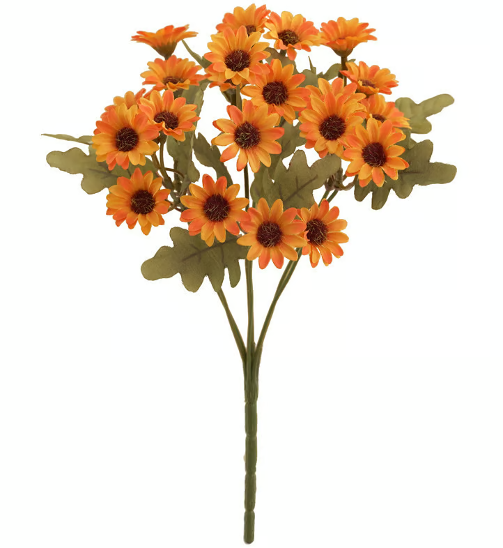 AutumnBloom – Dauerhafte Herbstpracht ohne Pflege!