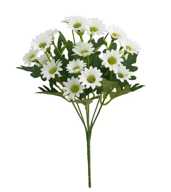 AutumnBloom – Dauerhafte Herbstpracht ohne Pflege!