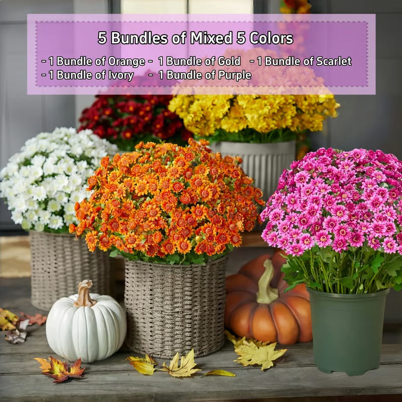 AutumnBloom – Dauerhafte Herbstpracht ohne Pflege!