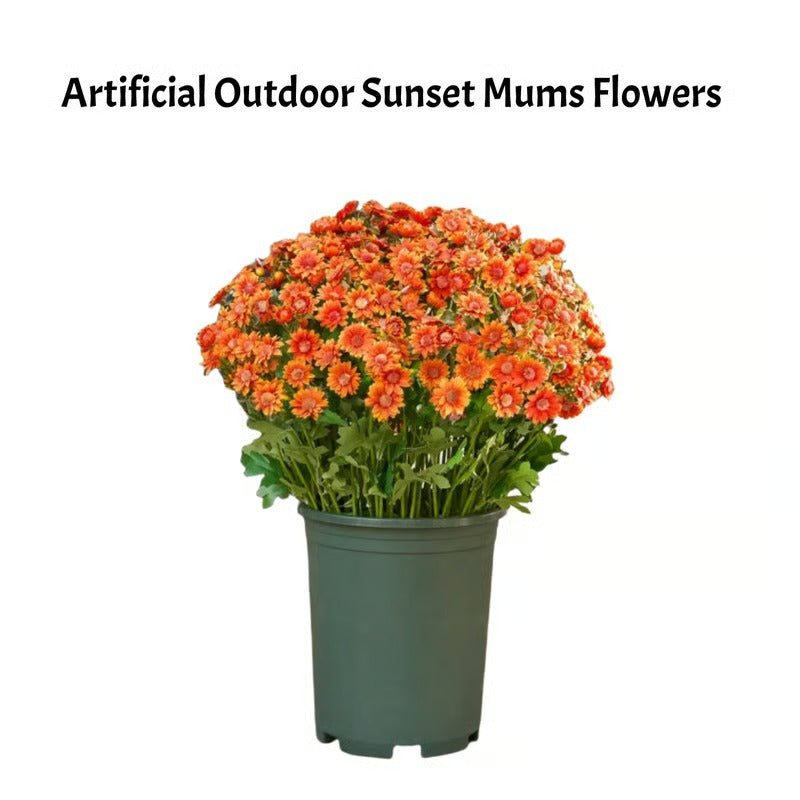 AutumnBloom – Dauerhafte Herbstpracht ohne Pflege!