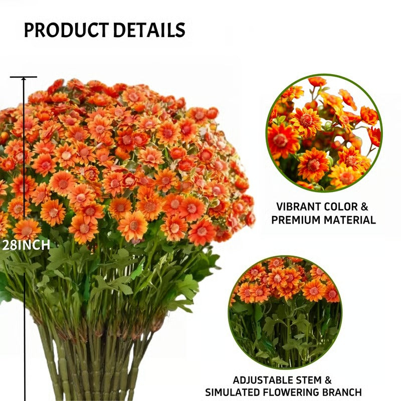 AutumnBloom – Dauerhafte Herbstpracht ohne Pflege!