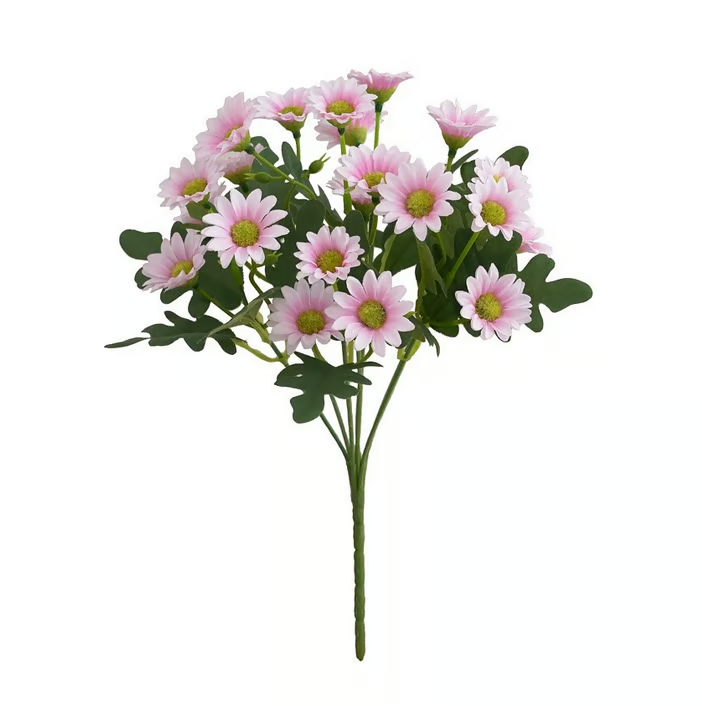 AutumnBloom – Dauerhafte Herbstpracht ohne Pflege!