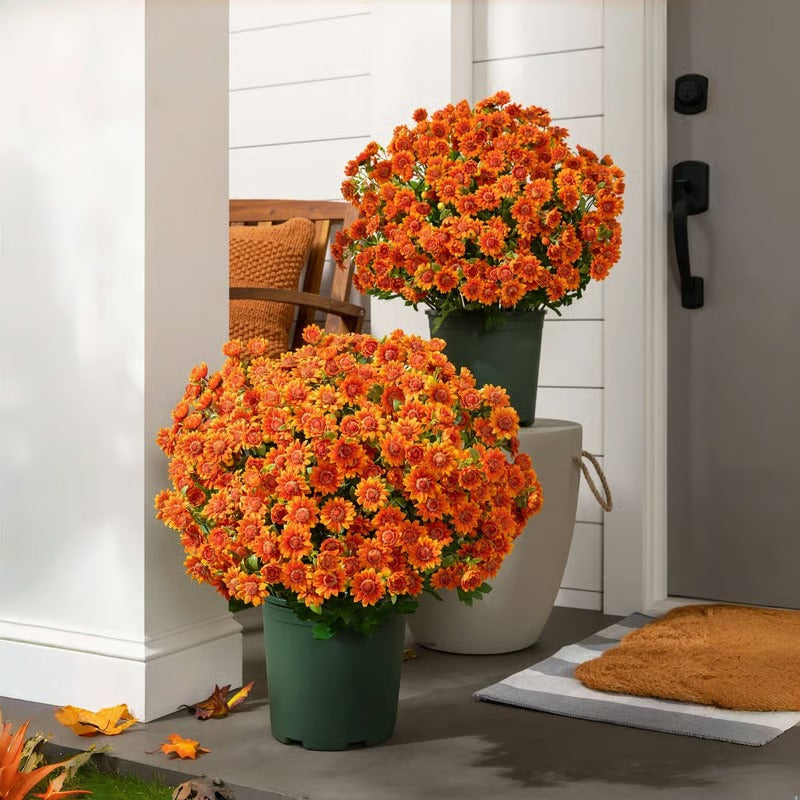 AutumnBloom – Dauerhafte Herbstpracht ohne Pflege!