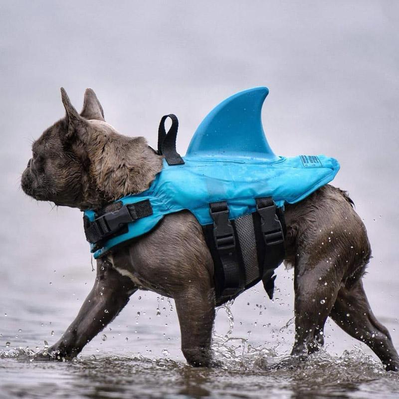 FloatiFur – Sicher planschen, fröhlich schwimmen!
