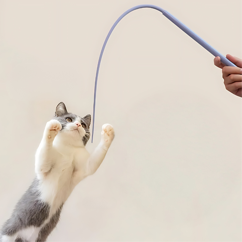 1+1 GRATIS | PawJoy – Spiel, Spaß & Bewegung für deine Katze!