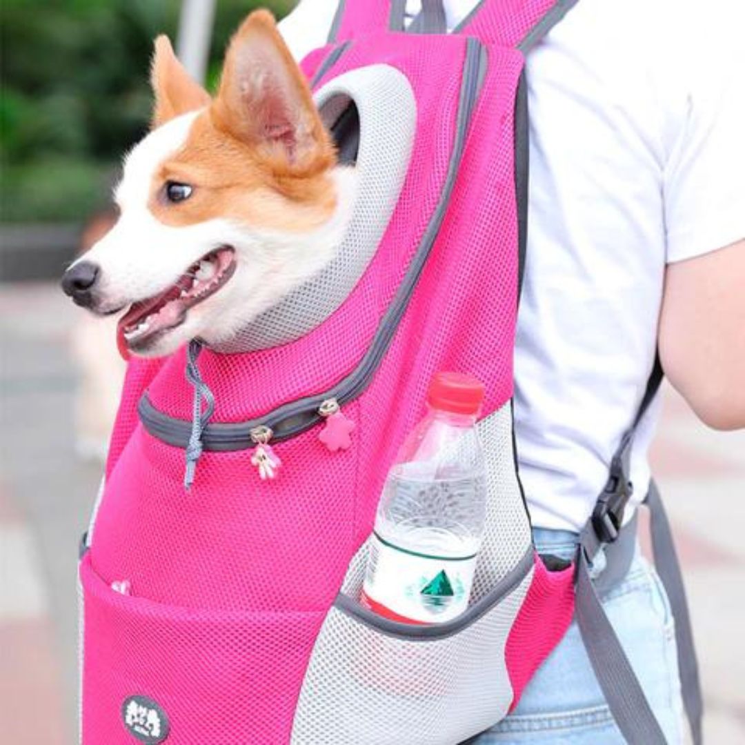PawCarry – Gemeinsam überall unterwegs