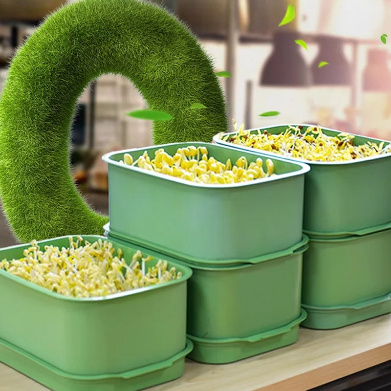 1+1 GRATIS | GreenBox – Frische Sprossen jeden Tag selbst gezogen