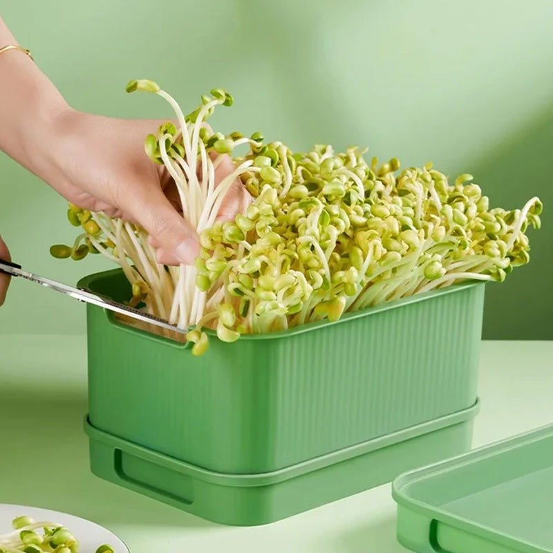 1+1 GRATIS | GreenBox – Frische Sprossen jeden Tag selbst gezogen