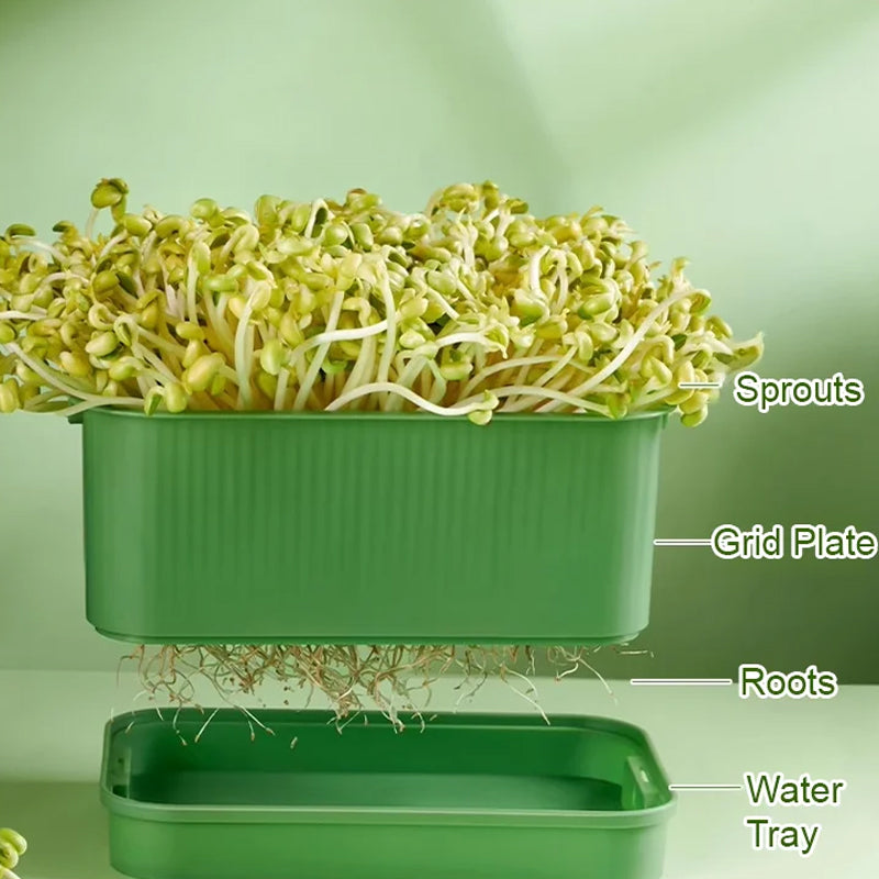 1+1 GRATIS | GreenBox – Frische Sprossen jeden Tag selbst gezogen