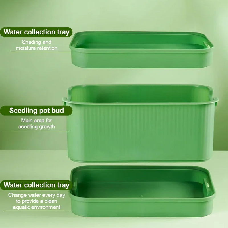 1+1 GRATIS | GreenBox – Frische Sprossen jeden Tag selbst gezogen