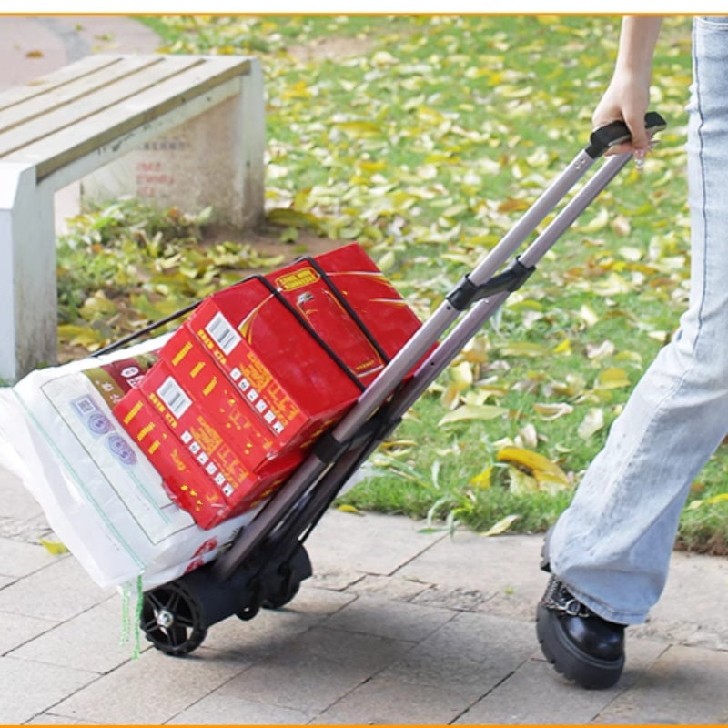 CarryMax Fold – Stark beim Tragen, klein beim Verstauen