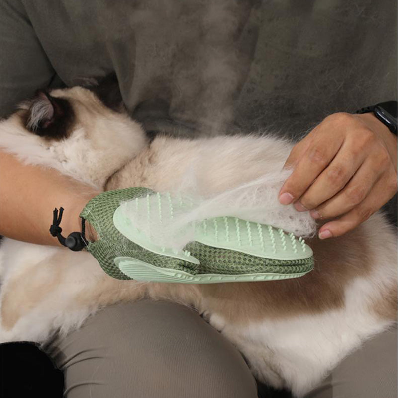 FurMist – Fellpflege ohne Wasserstress!