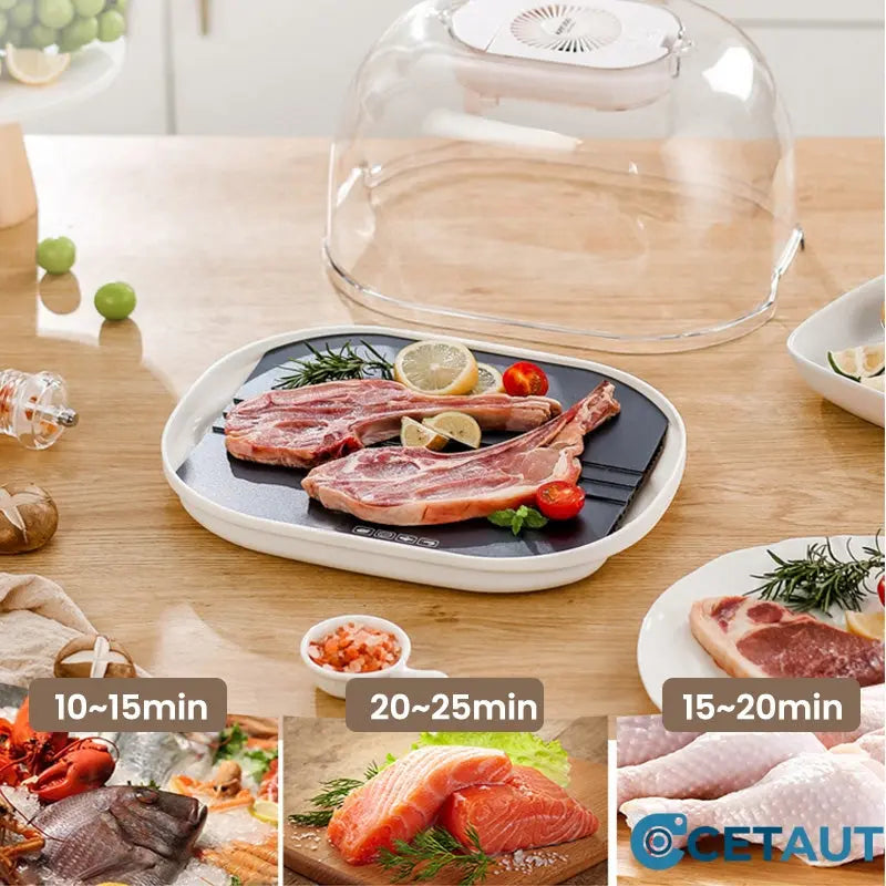 FreshThaw Pro – Fleisch in Minuten statt Stunden!