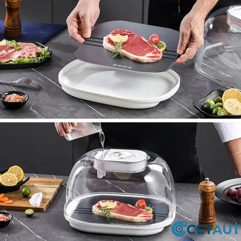 FreshThaw Pro – Fleisch in Minuten statt Stunden!