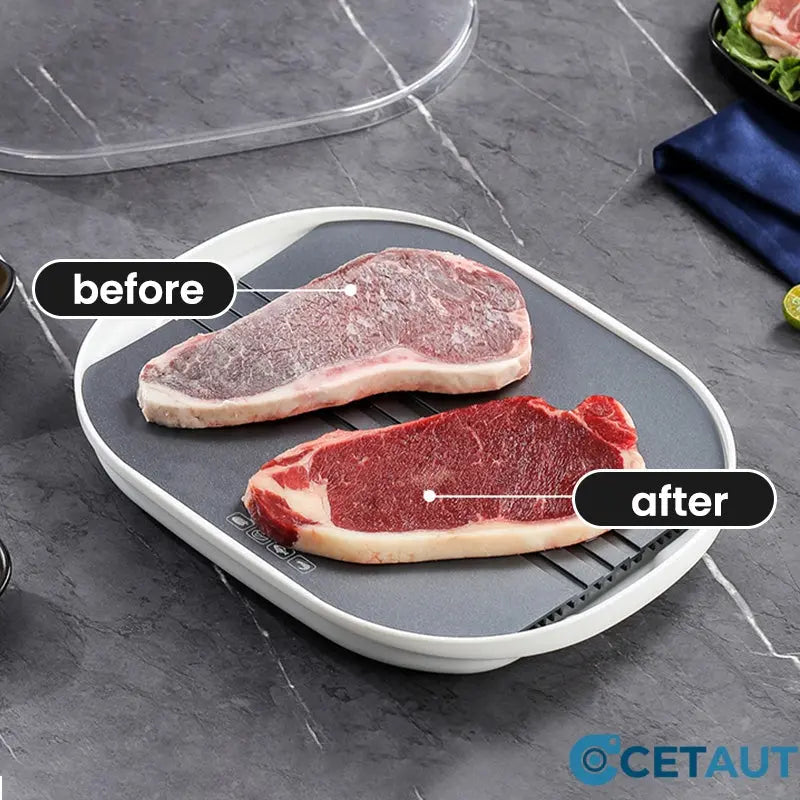 FreshThaw Pro – Fleisch in Minuten statt Stunden!