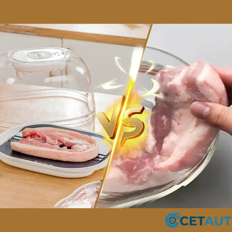 FreshThaw Pro – Fleisch in Minuten statt Stunden!