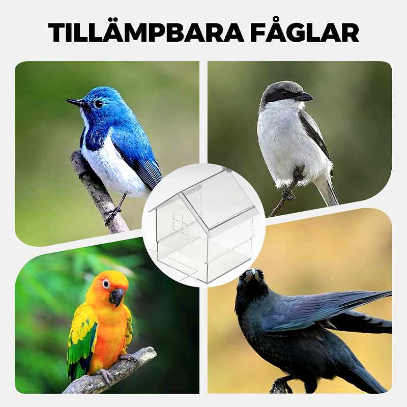 ClearFeast Bird – Sauber füttern ohne Futterchaos!