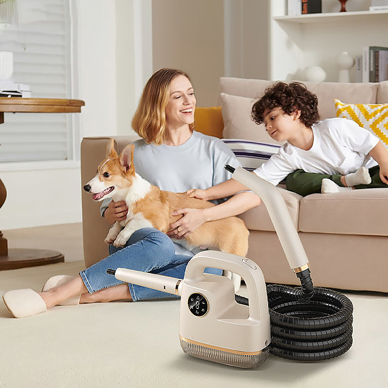 SteamPro – Desinfiziere dein Zuhause mit 100°C reinem Dampf