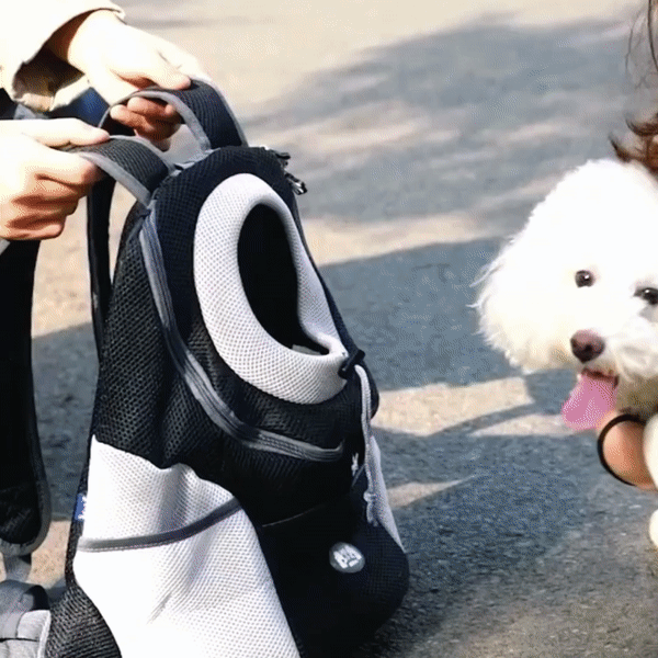 PawCarry – Gemeinsam überall unterwegs