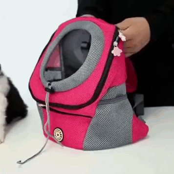 PawCarry – Gemeinsam überall unterwegs