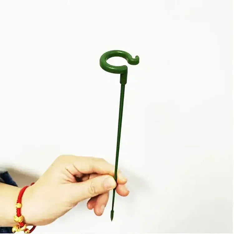 50% korting | PlantSupport - Von nun an immer gesunde und schöne Pflanzen!